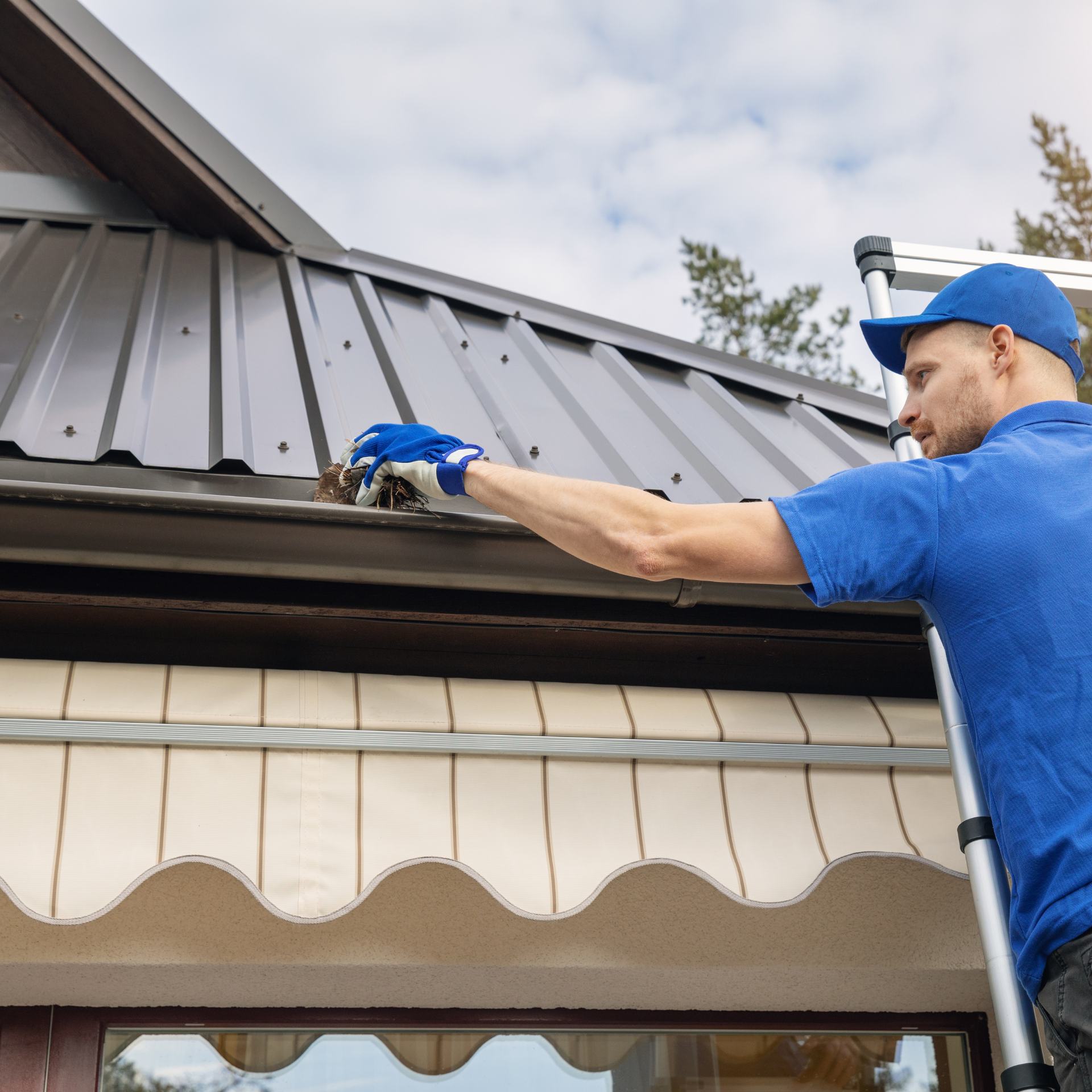 Gutter cleaning
