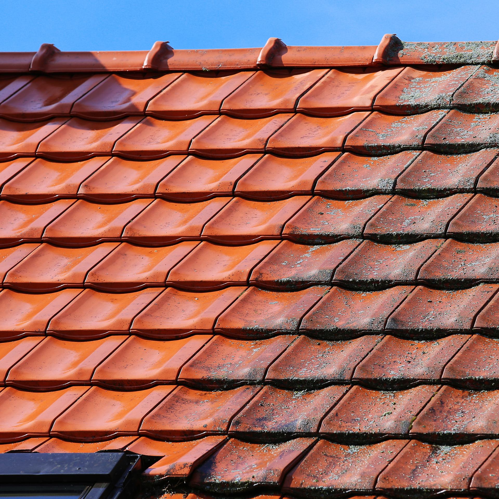 Roof cleaning