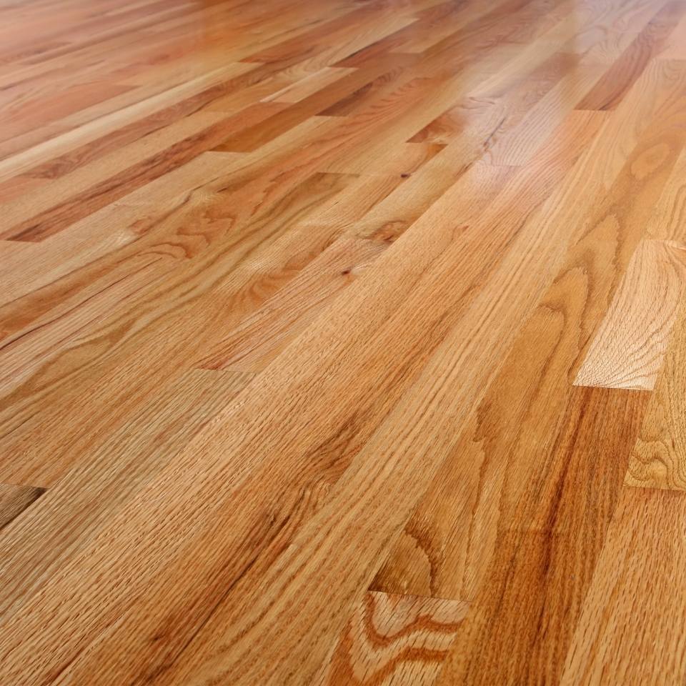 NV Commercial floor clean 4